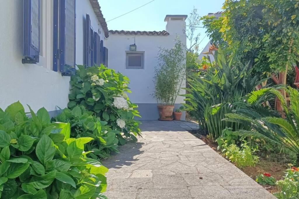 Casa Azores Zen Рибейра Гранде Екстериор снимка